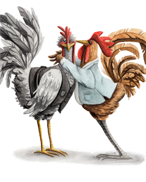Afbeelding van 2 Hanen
