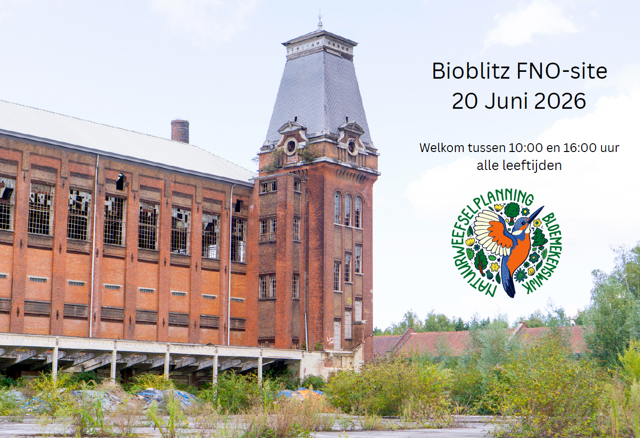 Flyer van de BioBlitz 6 juni 2026